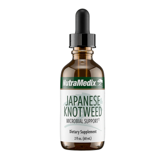 Japanese Knotweed